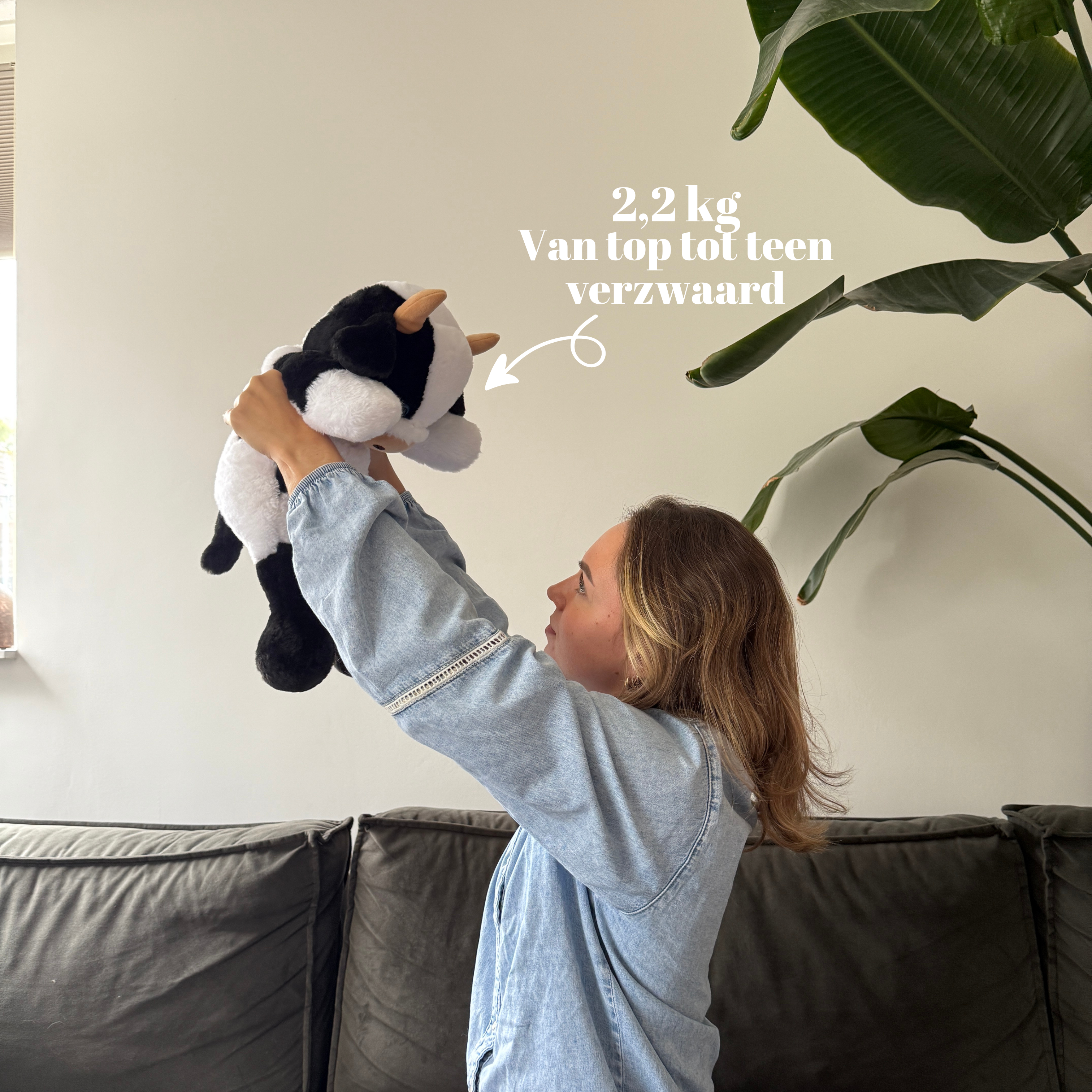 Verzwaringsknuffel Koe 2,2 kg + Gratis Pittenzakje