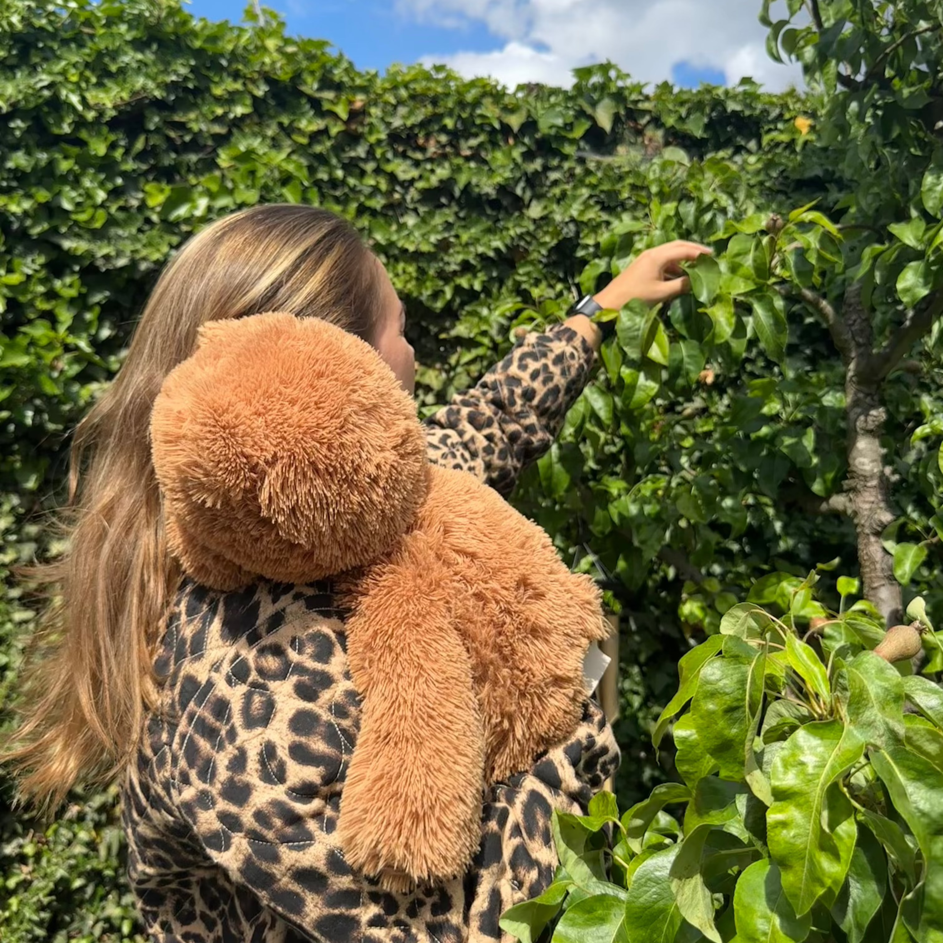 Verzwaringsknuffel Teddy Beer 2,2 kg + Gratis Pittenzakje