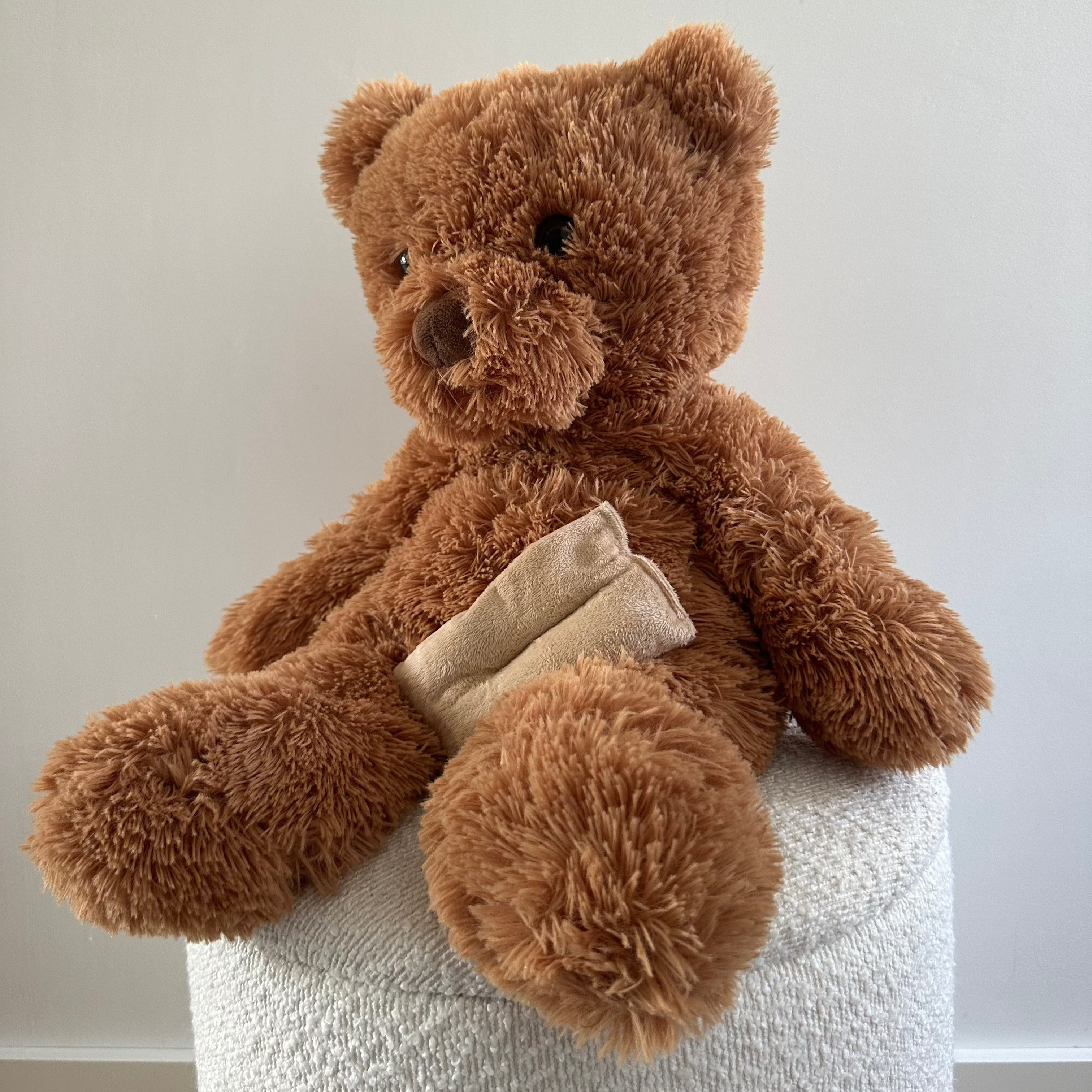 (Uitverkocht) Verzwaringsknuffel Teddy Beer 2,2 kg + Gratis Pittenzakje