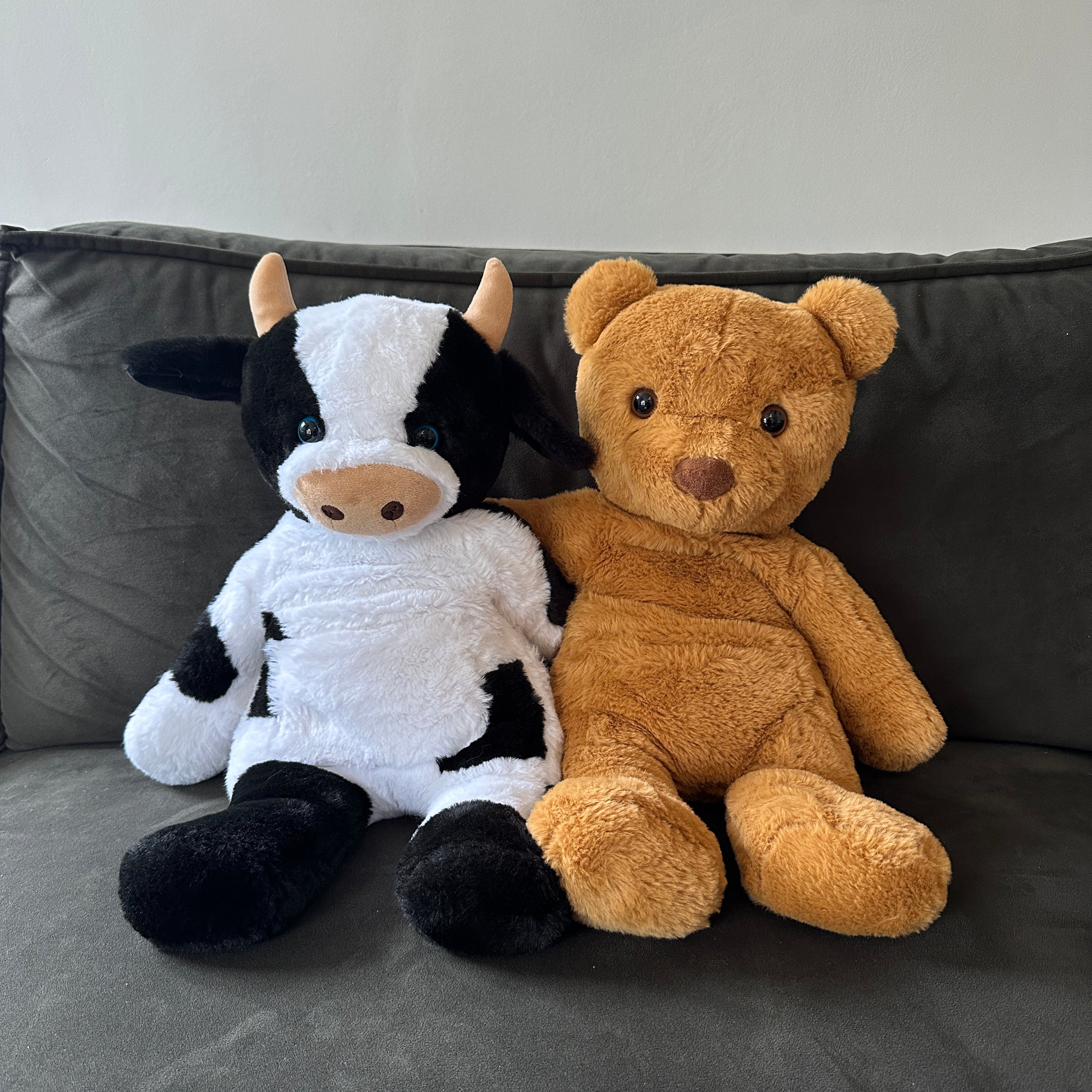 Verzwaringsknuffel Beer 2,2 kg + Gratis Pittenzakje