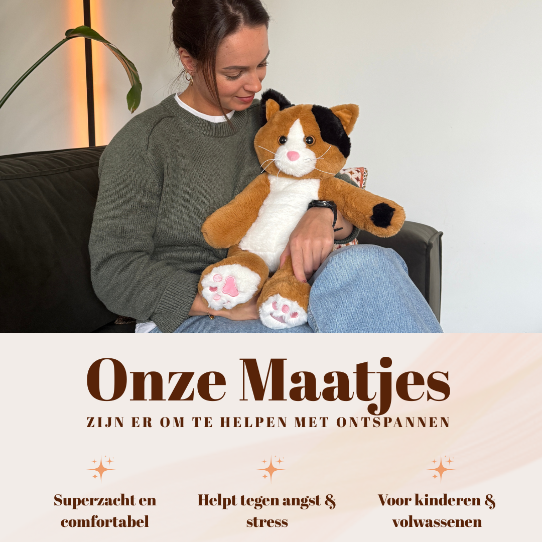 Het Troostmaatje kat op schoot bij een zittende vrouw, ideaal als hulpmiddel tegen stress en angst.