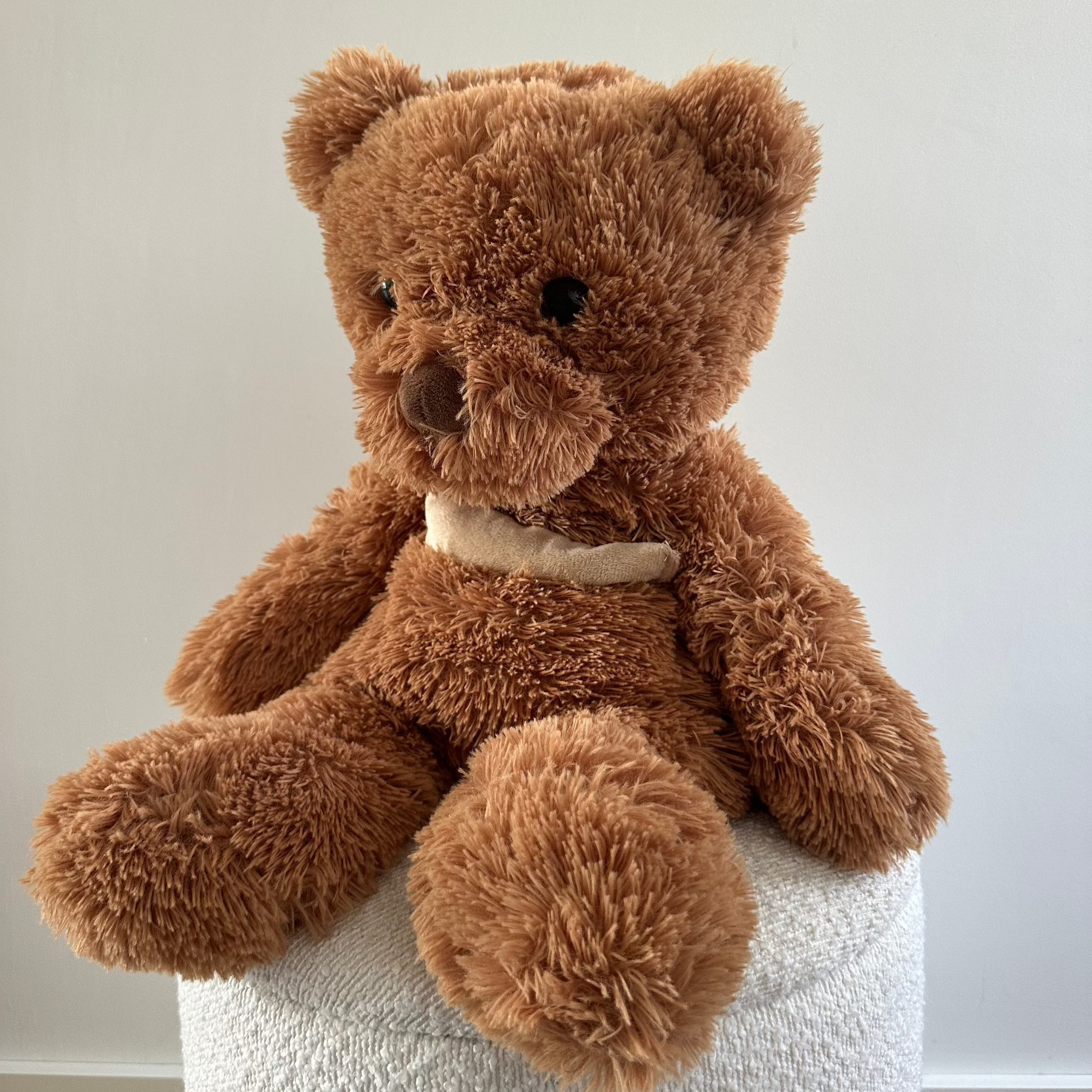 Verzwaringsknuffel Teddy Beer 2,2 kg + Gratis Pittenzakje