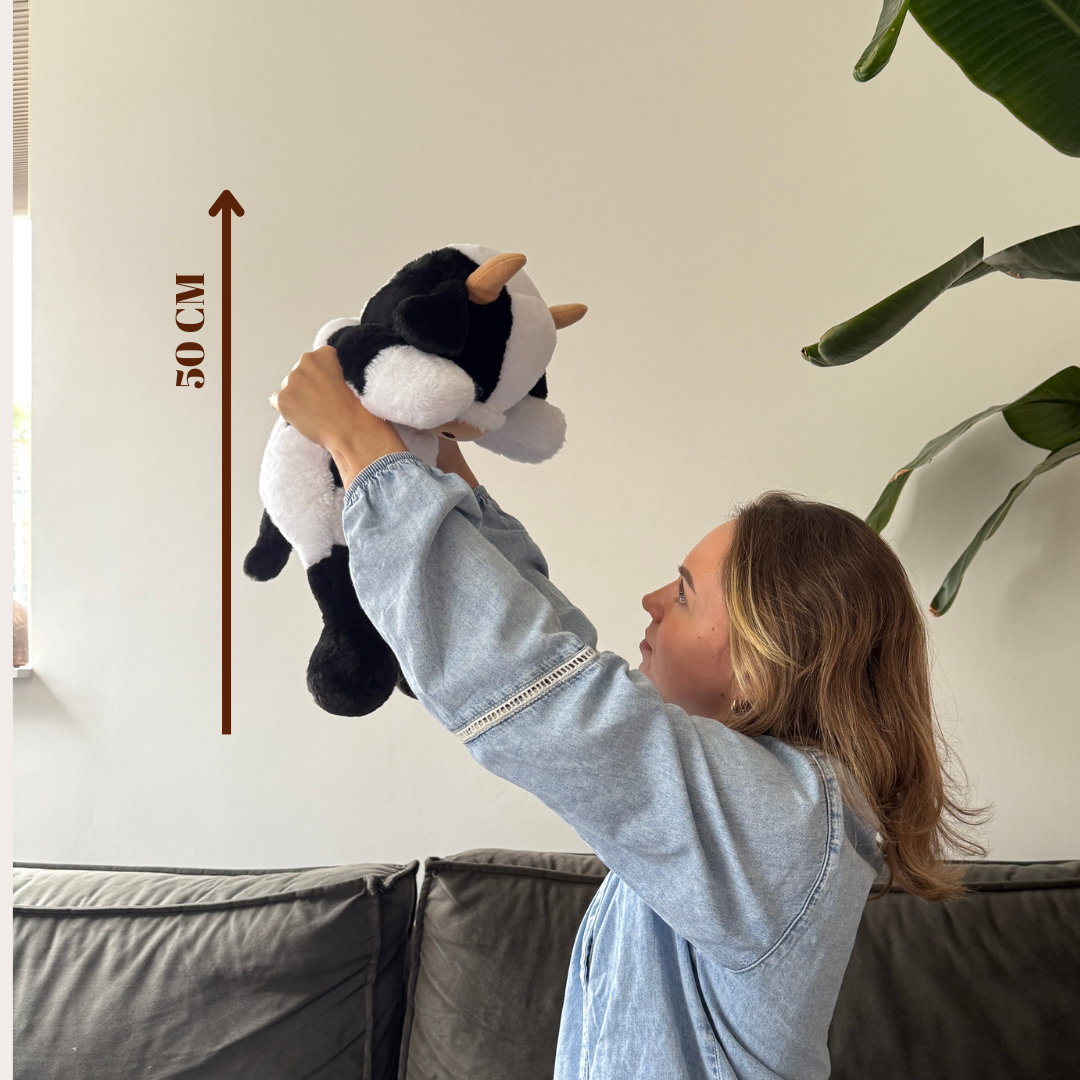 De verzwaringsknuffel koe (50 cm) omhoog gehouden om het ideale formaat voor schoot en bed te tonen.